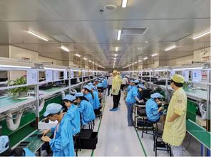 蘇寧拼購拼拼工廠再升級 老人機企業擁抱互聯網銷售，迎來增長新動力